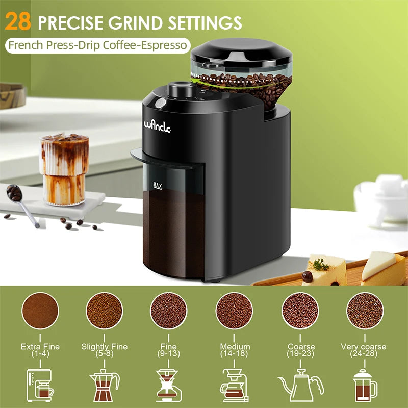 Electric Burr Coffee Grinder 220V/120V